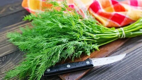 فروش مستقیم و عمده سبزی شوید خشک صادراتی + قیمت ویژه